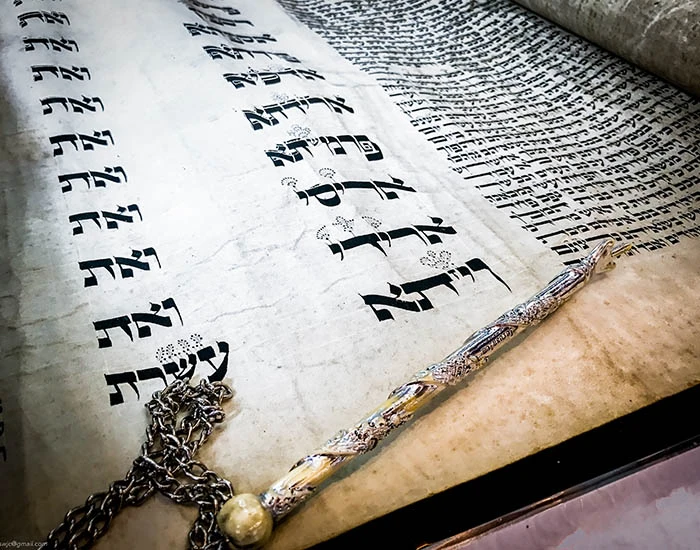 Esther Scroll with Yad